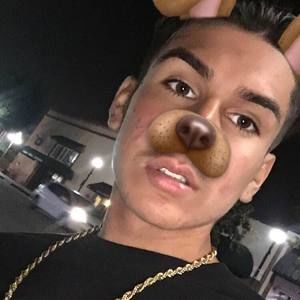 Meet your Posher, Ernesto