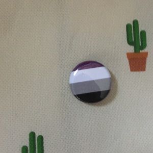 Asexuality pin