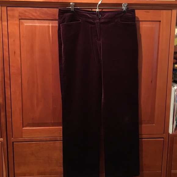Velvet pants