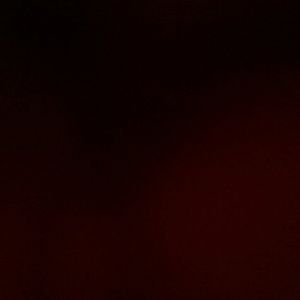 Meet your Posher, Shanasia