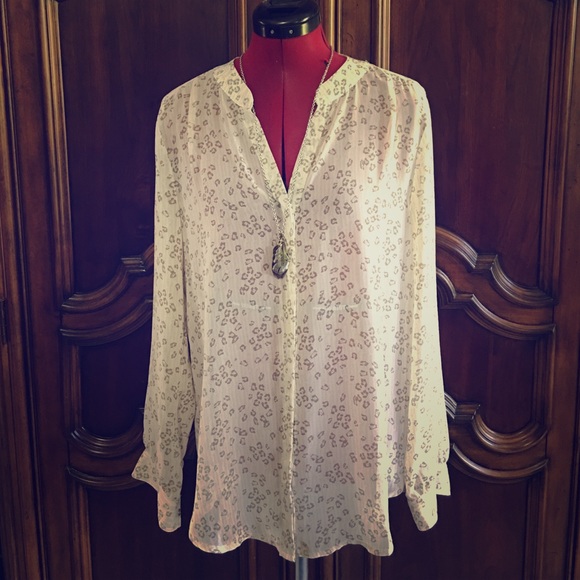 Sheer blouse from Banana Republic