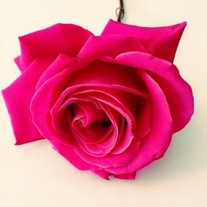 Meet your Posher, Mallorie