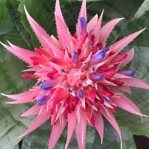 Meet your Posher, Mari