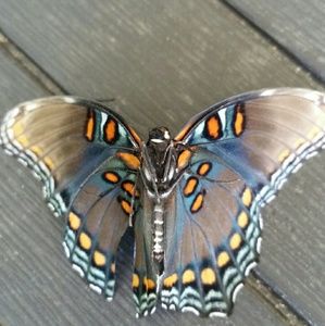 Meet your Posher, Leanne