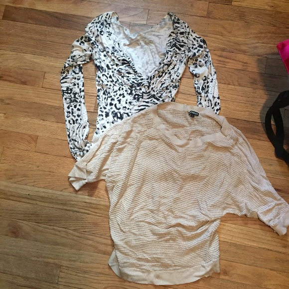 Express top bundle fitted cheetah top and sweater