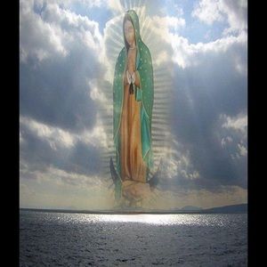 Meet your Posher, Helen