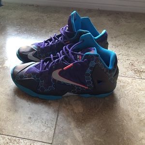 Lebron 11 charlotte hornets