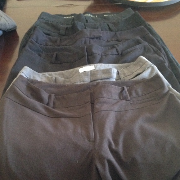 Lot of 14 petite dress pants