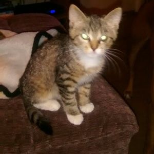 Meet your Posher, Pamela