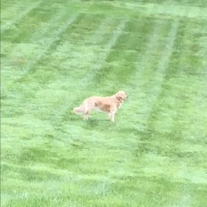 Meet your Posher, Carolelea