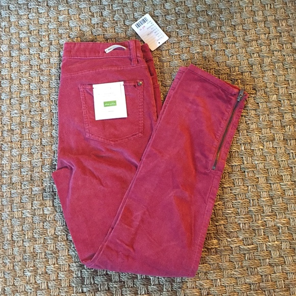 NWT Anthro Pilcro Stet pants