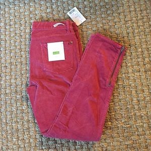 NWT Anthro Pilcro Stet pants