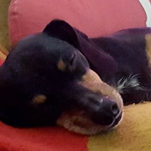 Meet your Posher, Liz