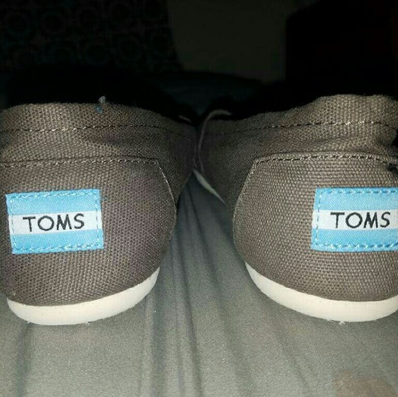 Grey toms