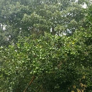 Meet your Posher, Noelia