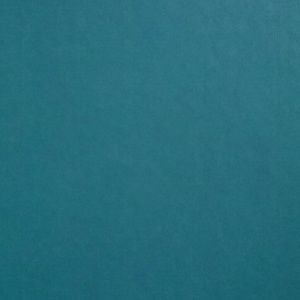 Meet your Posher, Bonnie