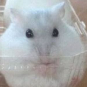 Meet your Posher, Elliot