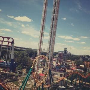 Meet your Posher, Allie