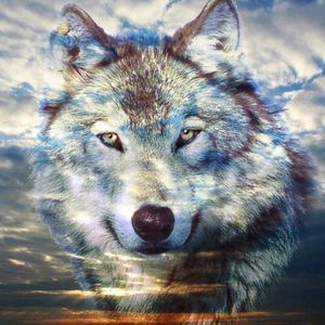 Meet your Posher, Marcos