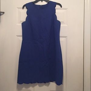 JCrew Scalloped Dress