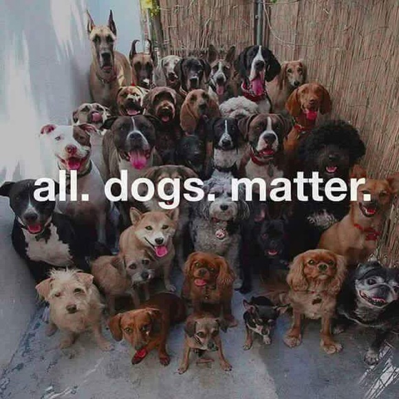 Help me help them !