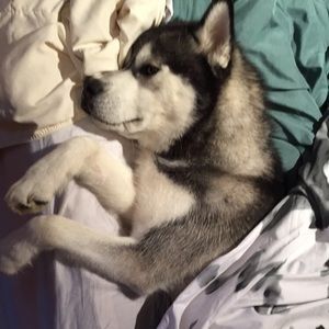 Meet your Posher, Gabrielle