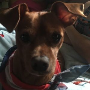 Meet your Posher, Lena