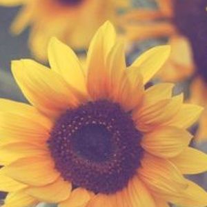 SOLD BUNDLE FOR ORANGE SHIRT & FLORAL SHORTS