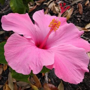 Meet your Posher, Joanna