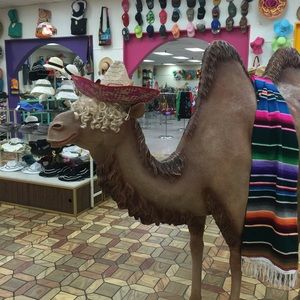 Meet your Posher, Shane