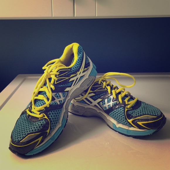 Asics Gel-Surveyor
