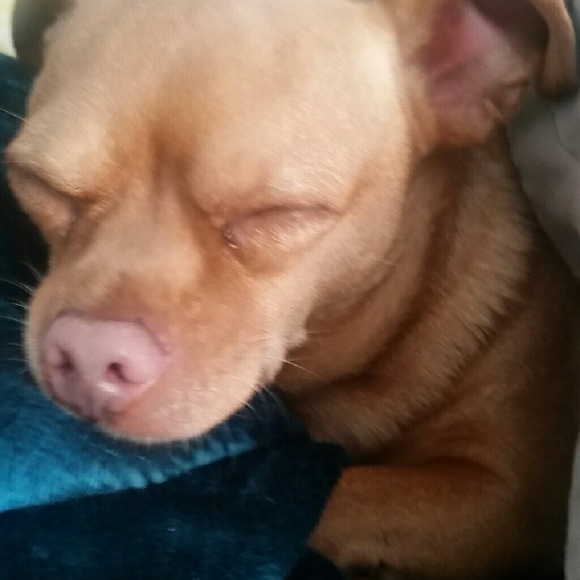 Meet your Posher, Whitney