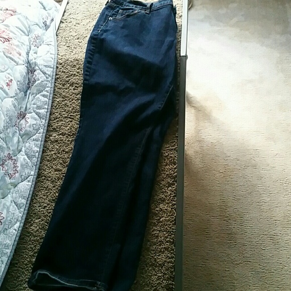 Polished Dark Jeans 18 short