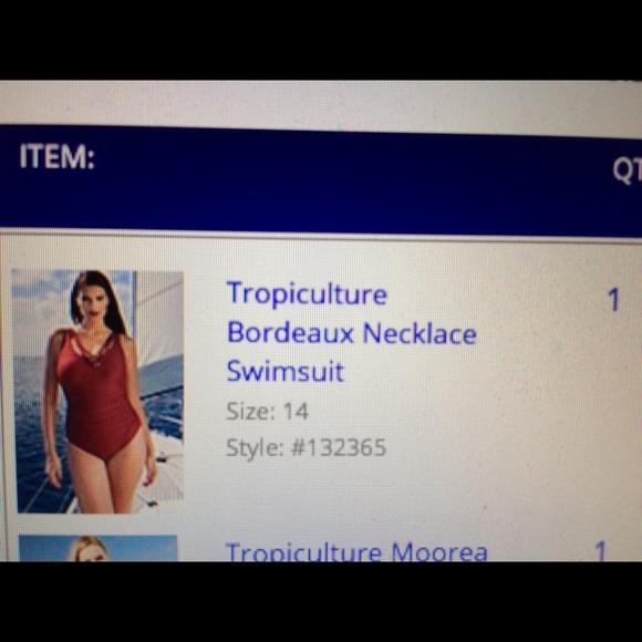 One piece burgundy swimsuit