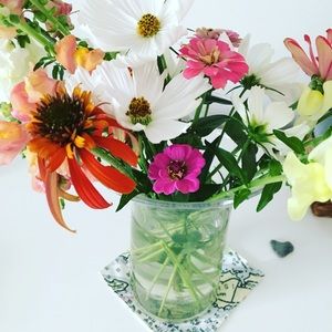 Meet your Posher, Lily