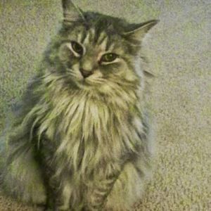 Meet your Posher, Patty