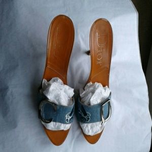 Dior Denim Butterfly Mules