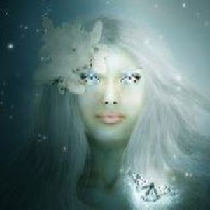 Meet your Posher, Donna-marie