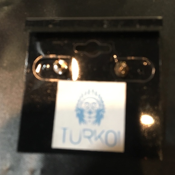 Turquoise or Onyx Dime Studs - Picture 3 of 3