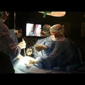 Meet your Posher, Suzanne