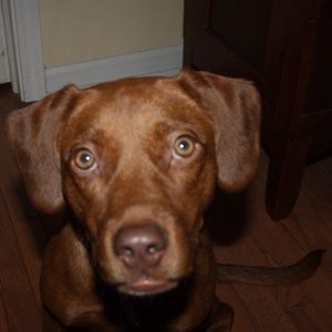 Meet your Posher, April