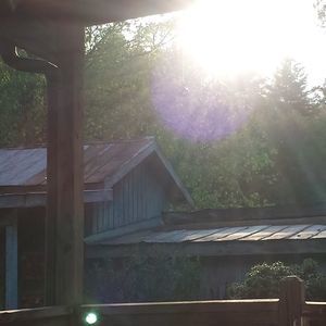 Meet your Posher, Laurie