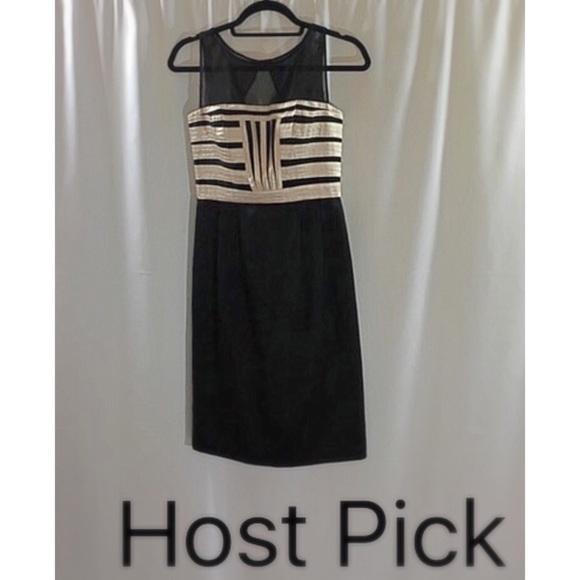 Maggy London Dresses & Skirts - 🎉HP 12/6/16🎉Maggy London Sheer sleeveless dress