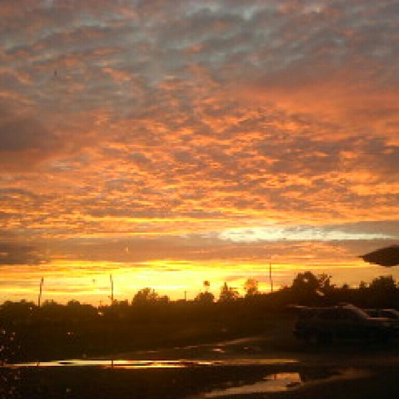 Meet your Posher, Krystyn