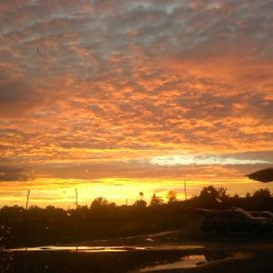 Meet your Posher, Krystyn