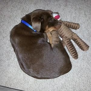 Meet your Posher, Karissa