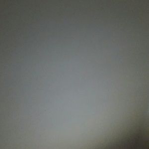 Meet your Posher, Dee