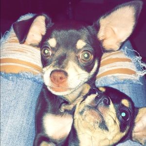 Meet your Posher, Brianna