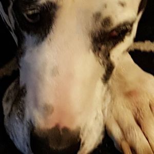 Meet your Posher, Doreen