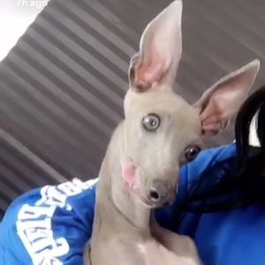 Meet your Posher, Marisa